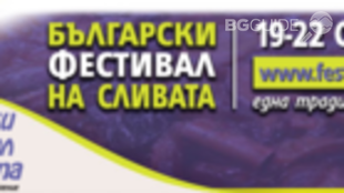 fest-na-slivata_310x174_crop_f44054f1b5
