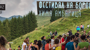 borovinkite_310x174_crop_427d741fa7