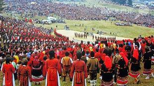 fotoplener_310x174_crop_549e8cbfaa