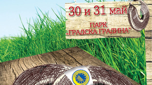 flaeri1_310x174_crop_5ff1e4883b