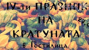 gostilitsa_310x174_crop_336ccb5379