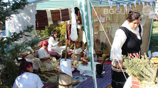 festival2_310x174_crop_4dfb762446