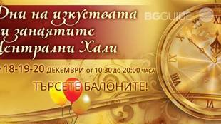 izkustva-i-zanaiati-v-halite-za-koleda-1_310x174_crop_b8beaf68b8