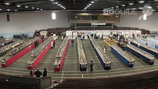 izlojba-gulubi_310x174_crop_a4ba8657ae