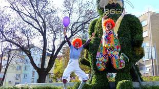 2016_310x174_crop_58cf640c12