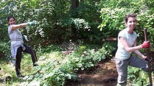 krairechno-zalesiavane_310x174_crop_573bdba986