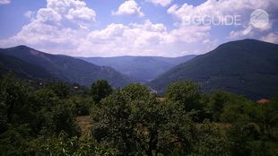 muzikalno-zalesiavane_310x174_crop_4653f8956c