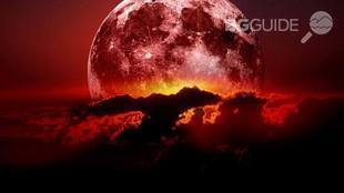 zalez_310x174_crop_f39c3fe297