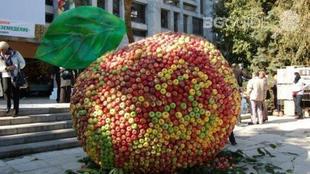 praznik-na-plodorodieto_310x174_crop_1d581b5fe3