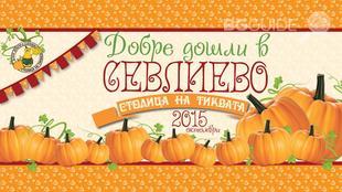 tikva_310x174_crop_4542add068