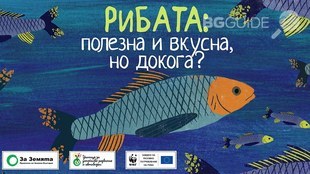 ribata_310x174_crop_015771fa0b