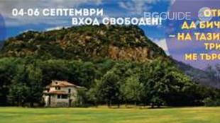 shake-that_310x174_crop_82d3bc369a