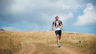 so-talk-disela_310x174_crop_2ff954d761