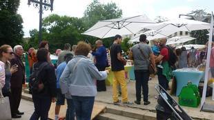 11825095-567844043353842-4650545553543919695-n_310x174_crop_16b2fc85dd