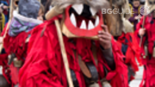 surva_310x174_crop_f0cf34c448