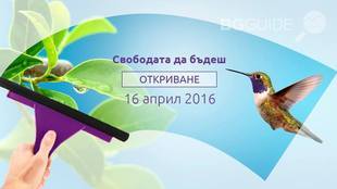 svobodata-da-budesh_310x174_crop_47652453b0