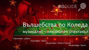 wylshebstwa_310x174_crop_eab17e0fe9