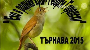 tarnava_310x174_crop_488490874d