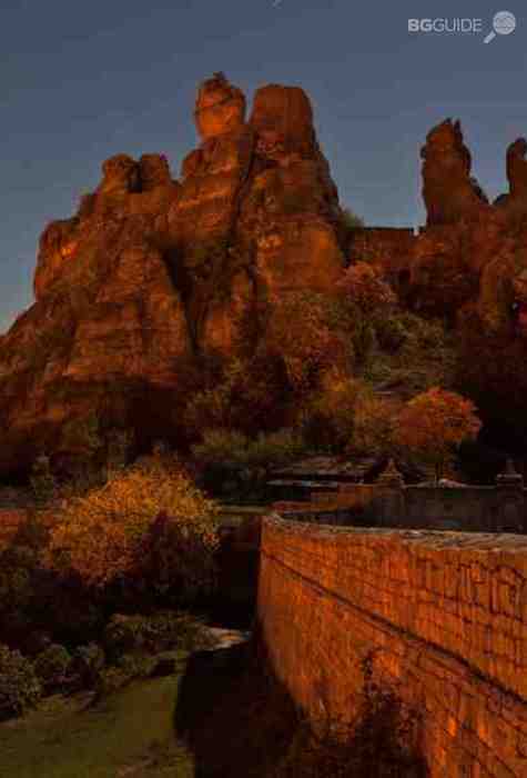 img-4999-re_475x700_crop_ddeb7716cb