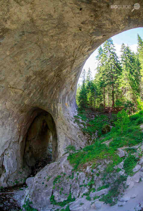 gpa4991_475x700_crop_2d1777f48d