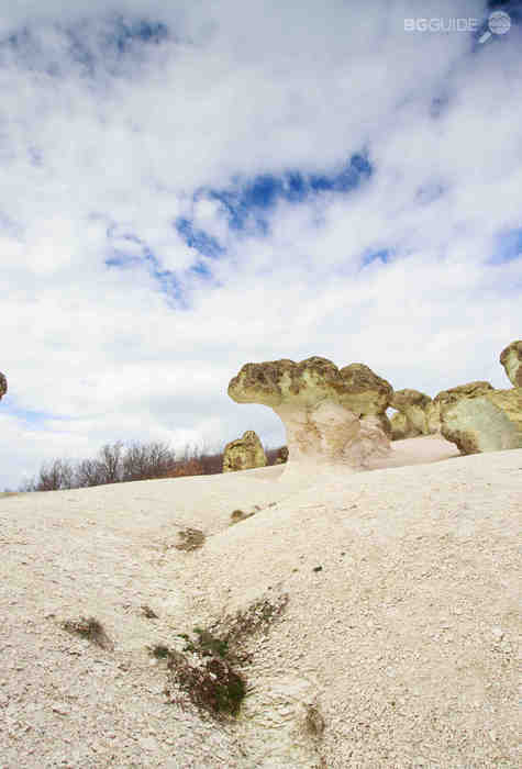 gpa8502-gubite_475x700_crop_6298d5e22c