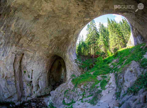 gpa4991_480x353_crop_2d1777f48d