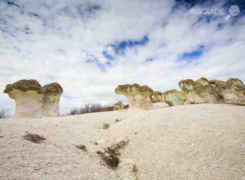 gpa8502-gubite_480x353_crop_6298d5e22c