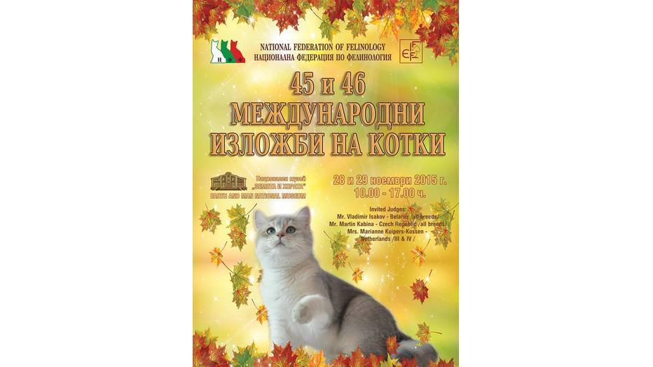 45i46-international-fi-fe-cat-shows_932x524_pad_8433725cbe