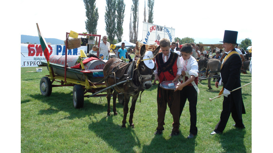 biorali_932x524_pad_0be66e5d75