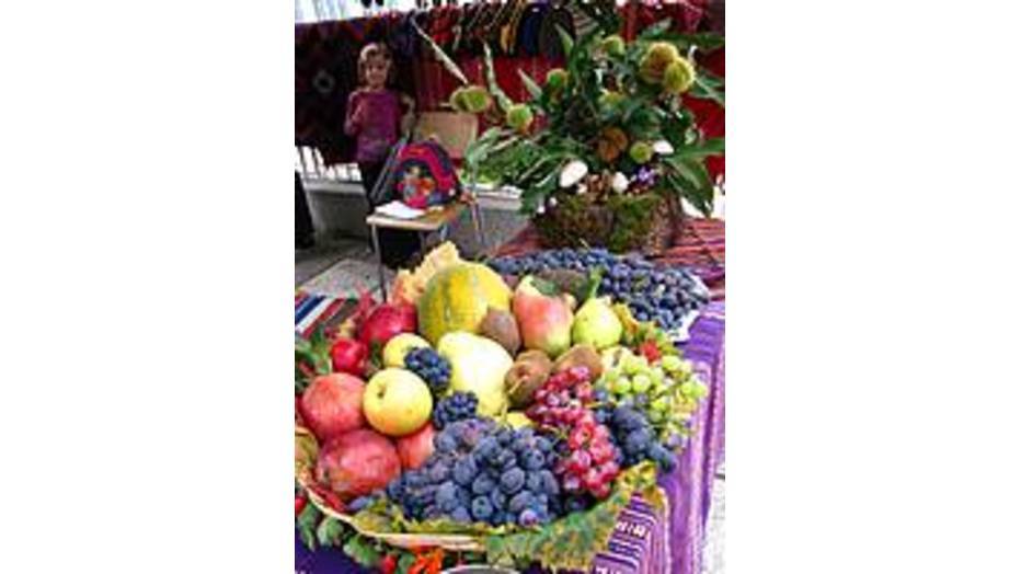 festival-na-kestena_932x524_pad_fb2a741ecf