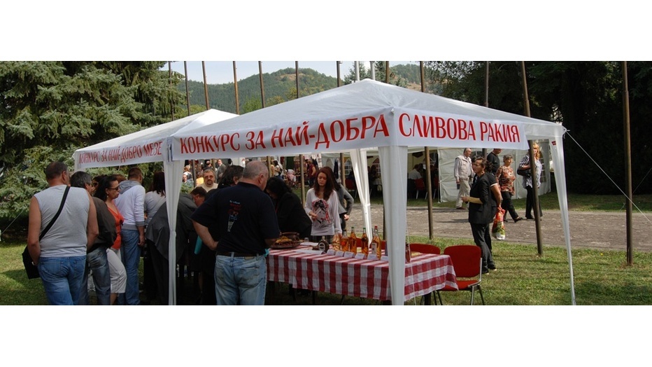 banner-sliva003_932x524_pad_373687ae95