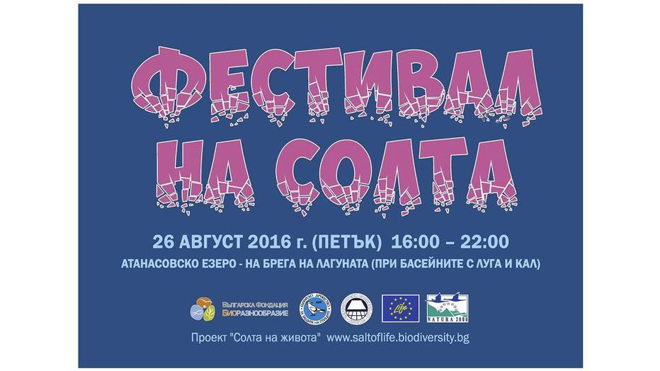 festival-na-solta_932x524_pad_2b9b587f87