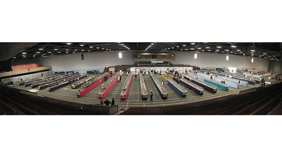 izlojba-gulubi_932x524_pad_a4ba8657ae