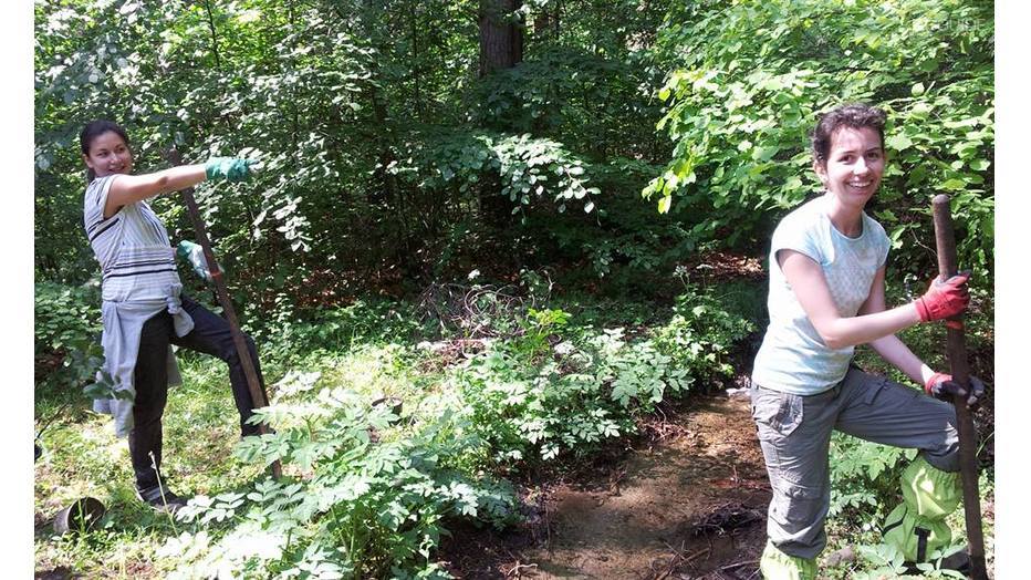 krairechno-zalesiavane_932x524_pad_573bdba986