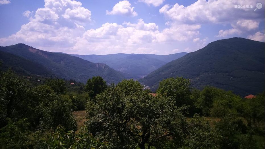 muzikalno-zalesiavane_932x524_pad_4653f8956c