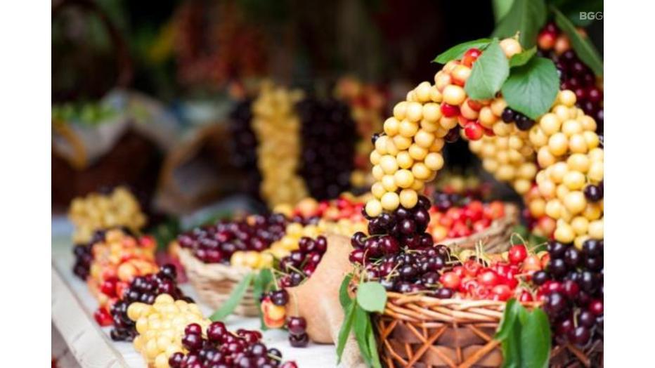 chereshi-kyustendil_932x524_pad_e30f90211a