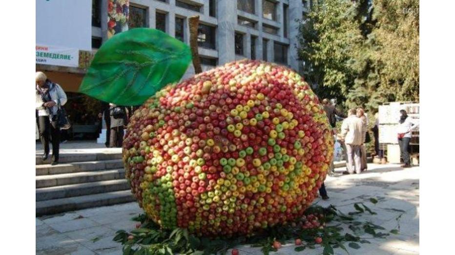 praznik-na-plodorodieto_932x524_pad_1d581b5fe3