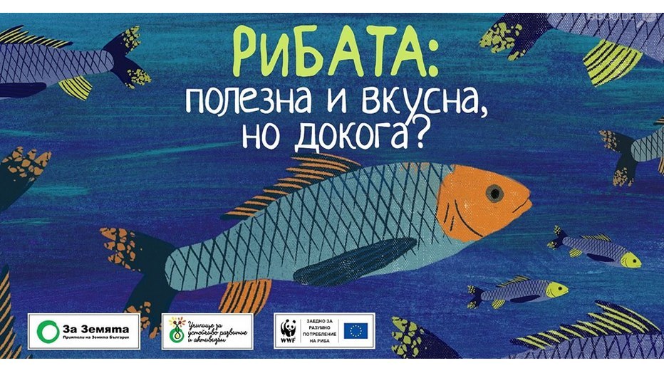 ribata_932x524_pad_015771fa0b