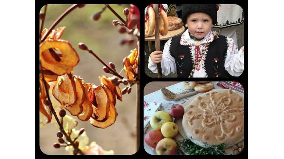 survachki_932x524_pad_d55d1b0e80